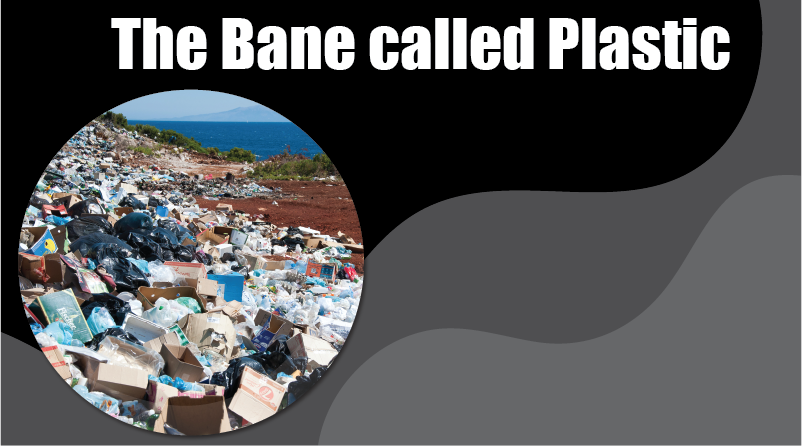 The Bane Called Plastic