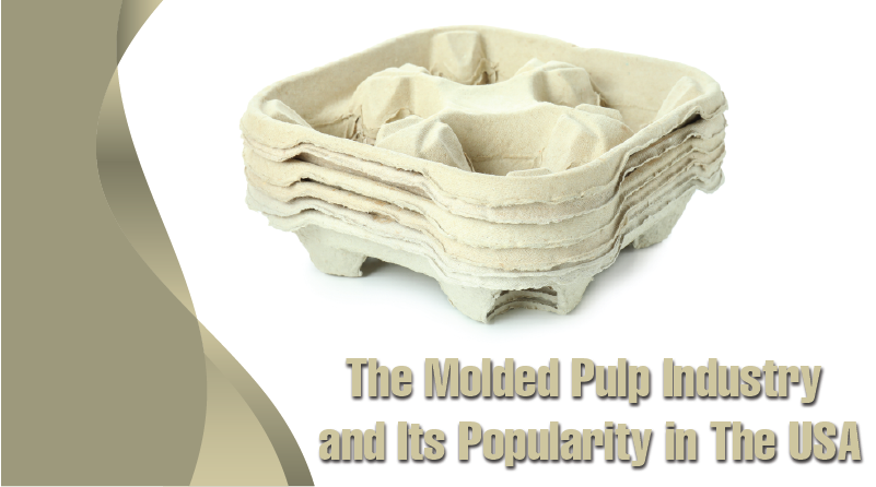 The Molded Pulp Industry and Its Popularity in The USA