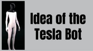 idea of the tesla bot