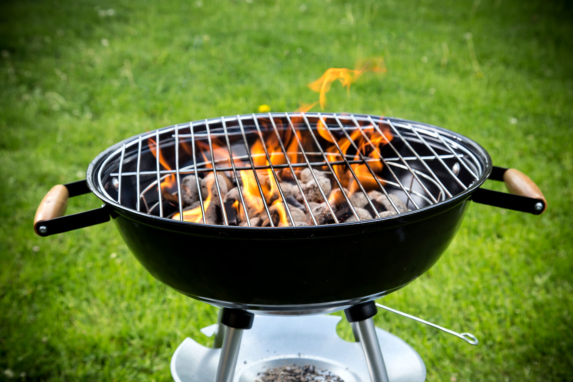 Global Charcoal Barbecues Market