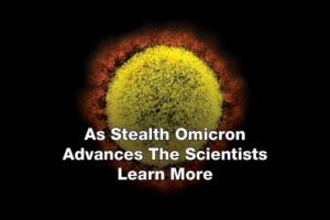 As Stealth Omicron Advances The Scientists Learn More
