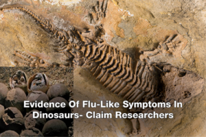 Evidence Of Flu-Like Symptoms In Dinosaurs- Claim Researchers
