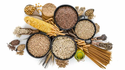 Whole Grain and High Fiber Foods Market 2022 Analysis of Key Trends, Industry Dynamics and Future Growth 2030 with Top Countries Data