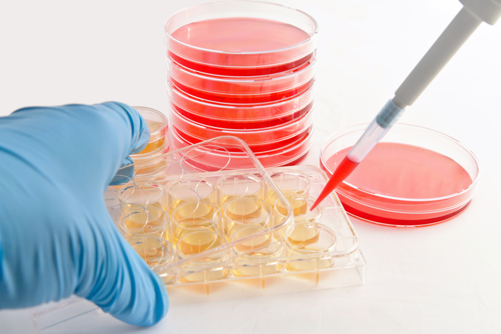 Stem Cell Market Objectives of the Study Includes Research Methodology and Assumptions and Forecast by 2030