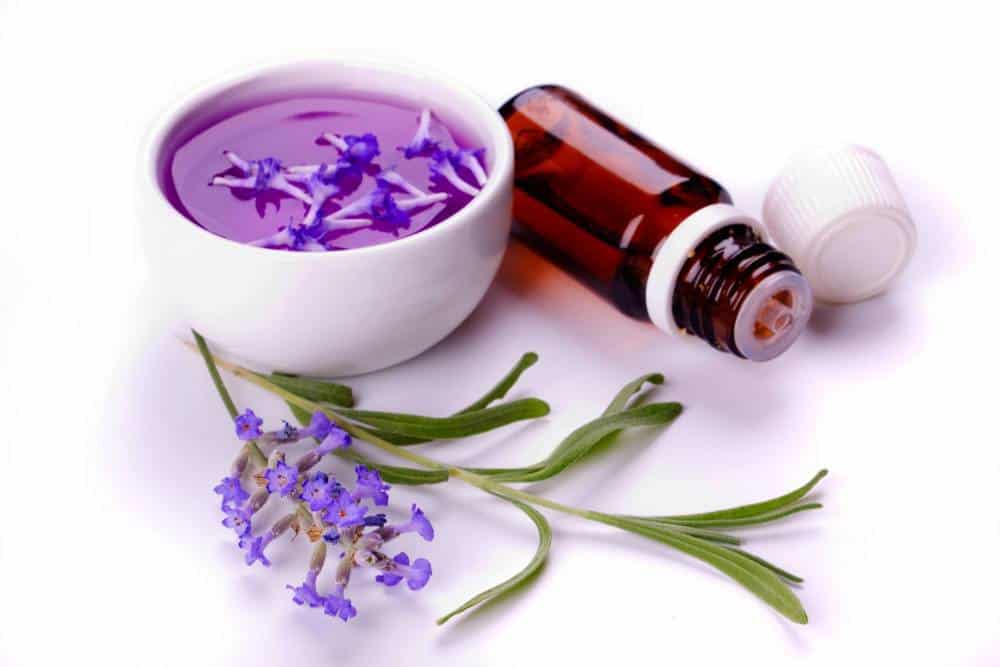Lavender Essential Oil Extract Market