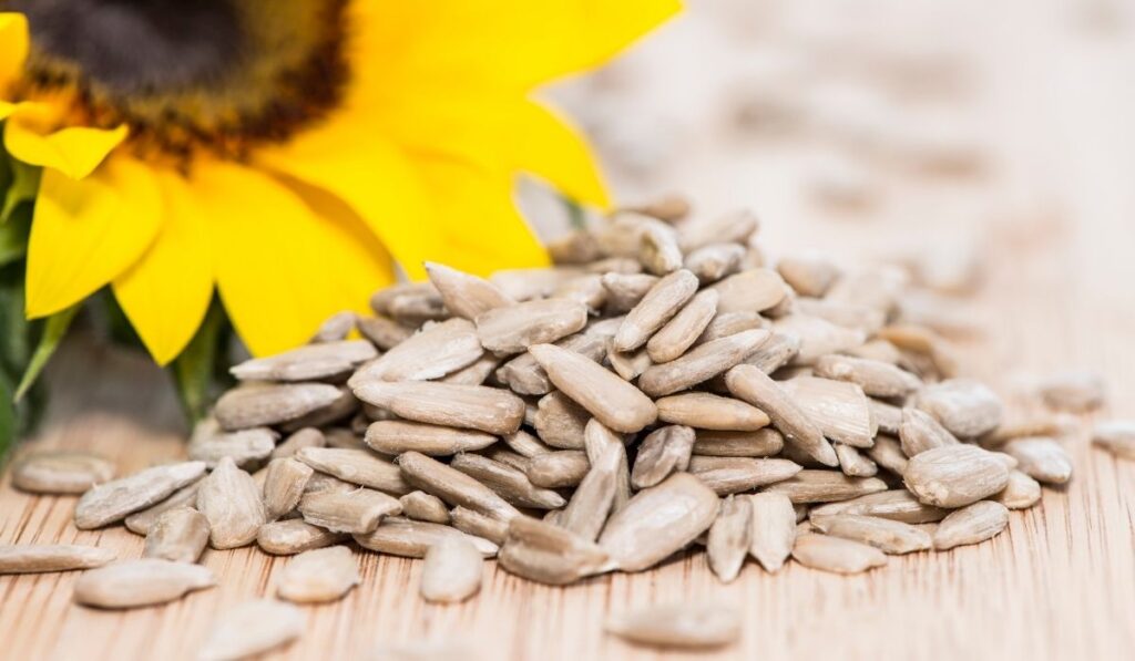 Sunflower Seed (Seed For Sowing) Market