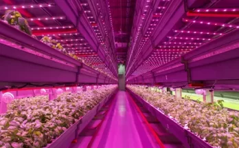 Plant And Agriculture Lighting Market