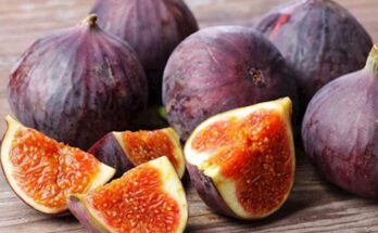 Fresh Figs Market