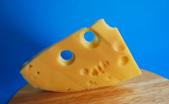Global Cheese Color Market