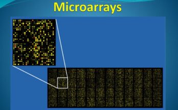 Microarray Analysis Market