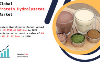 Protein Hydrolysates Market