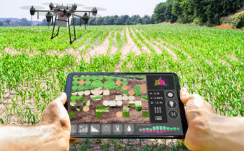 Global Precision Agricultural Application Robot Market