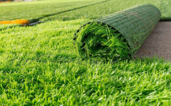 Global Hybrid Grass Market