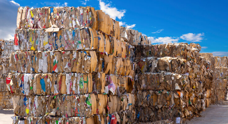 Global Paper Recycling Market